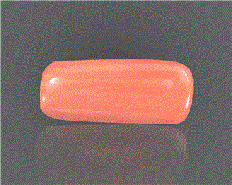 Natural Coral  8.18RTS-27797